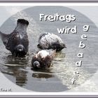 Freitags... (mit Gedicht)