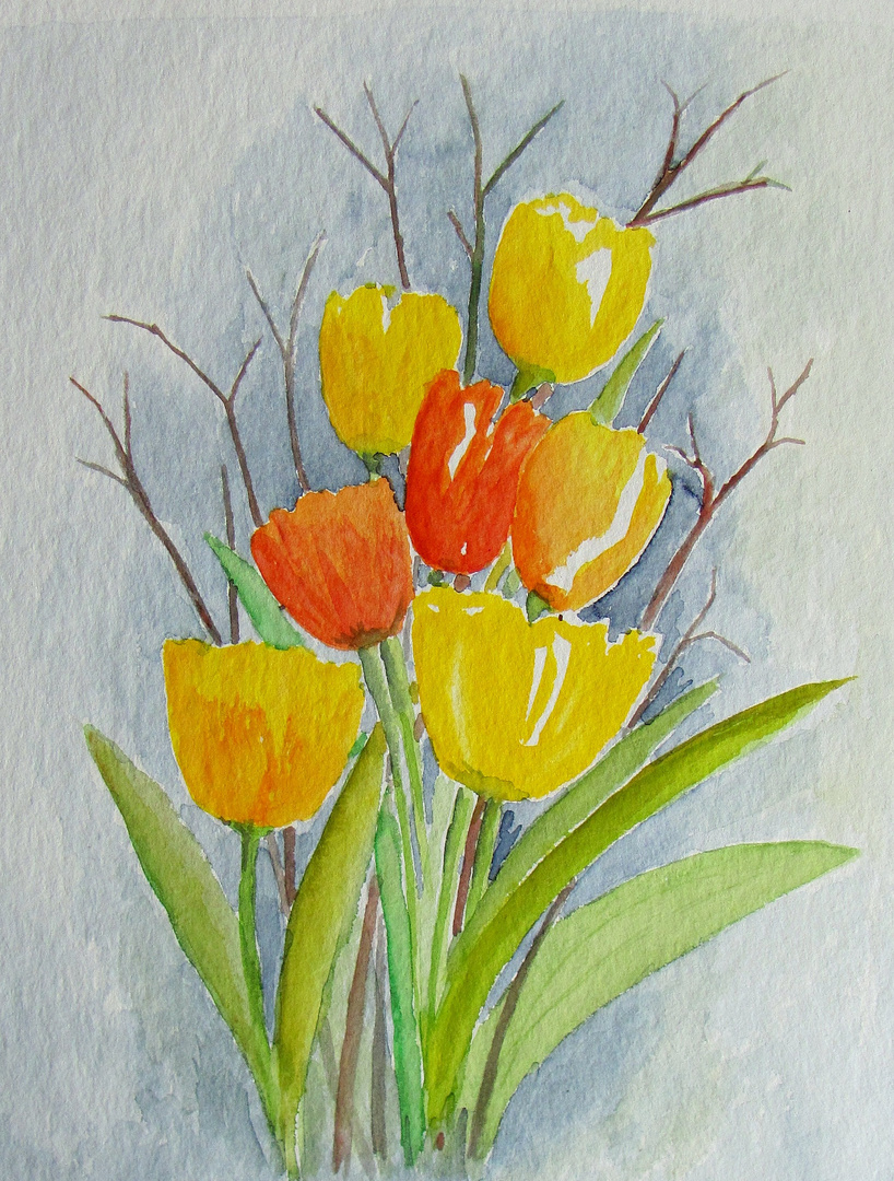 Freitags Tulpen