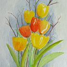 Freitags Tulpen