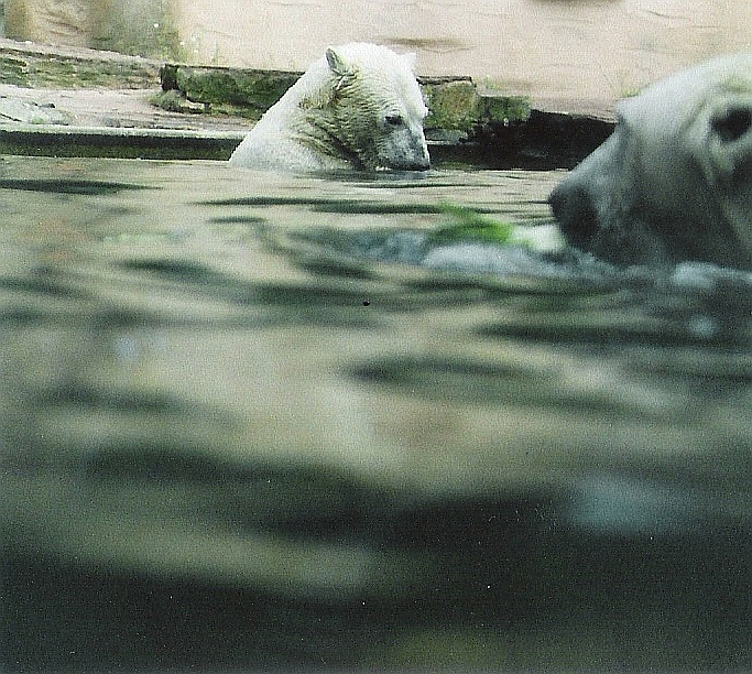 ... Freitags wird gebadet ...