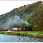 Freitagsfoto !  Frühling an der Saale dazu die Dampfeisenbahn bei Uhlstädt