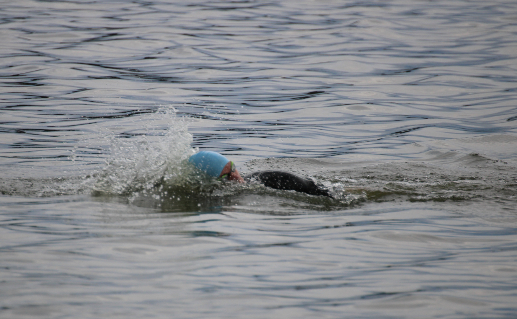 Freiwasser schwimmen 