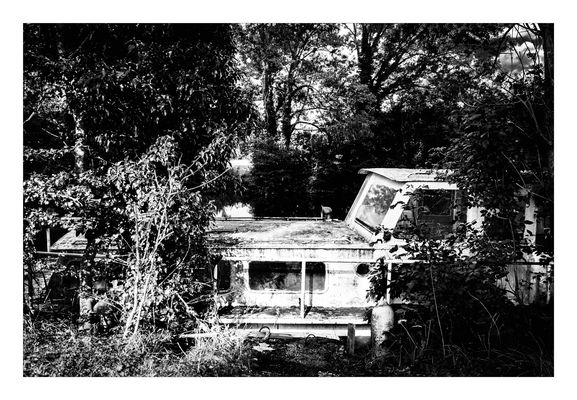 freiwillig sind sie nicht aufs land gezogen........