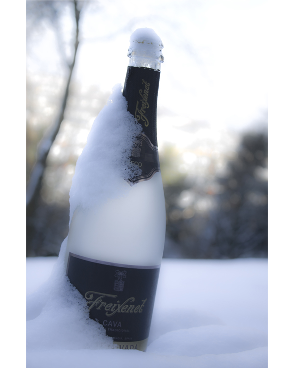 Freixenet- eiskalt genießen !!