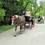 Freizeit im Englischen Garten...