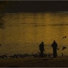 Freizeit im und am Rhein