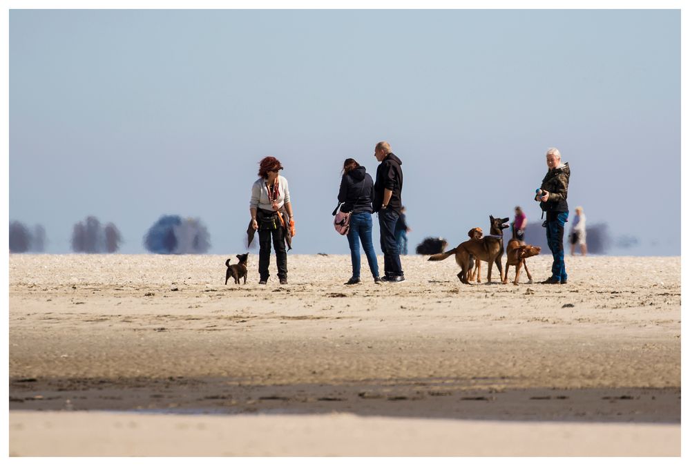 Freizeit mit Hunden