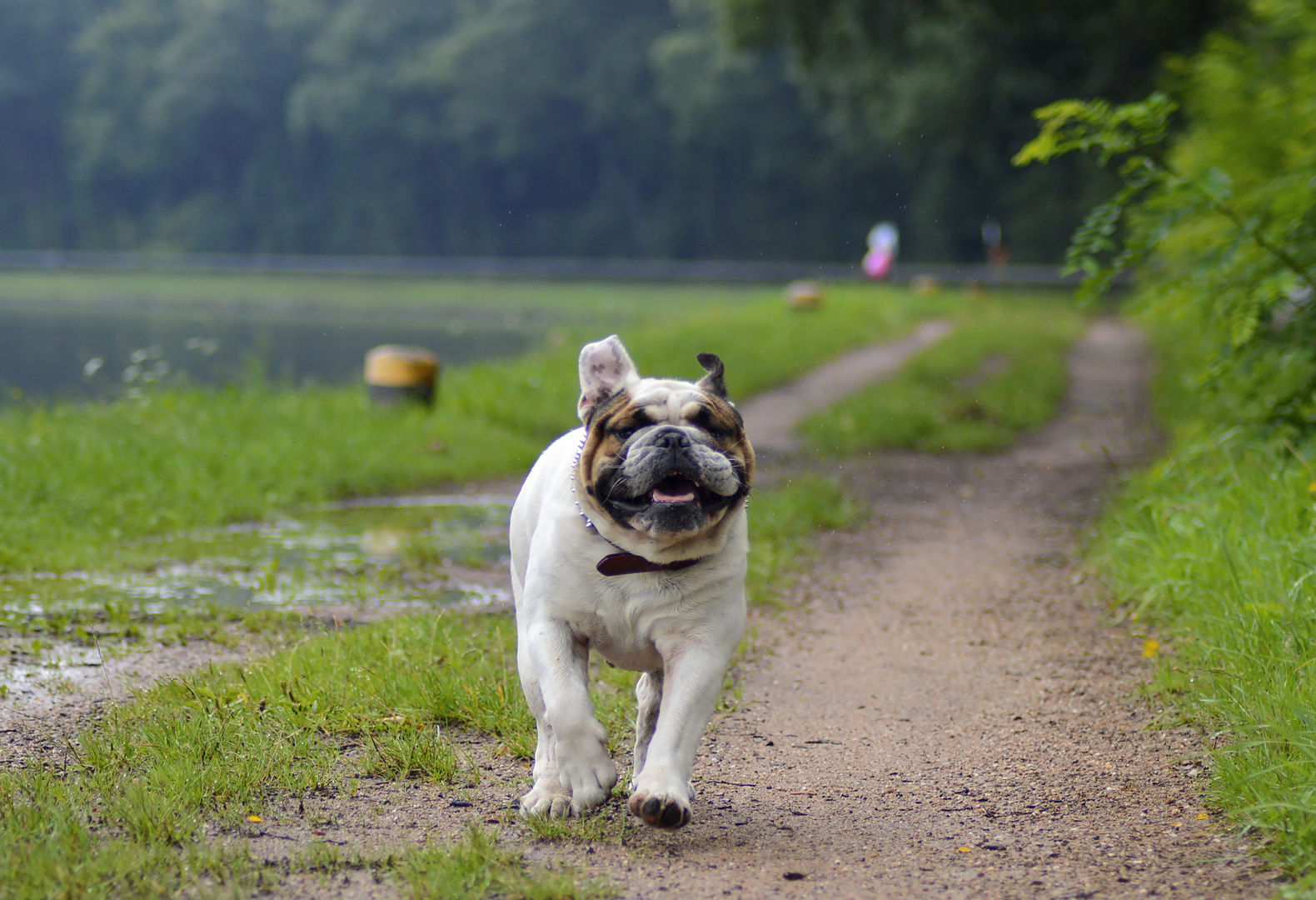 Freizeit mit Otto