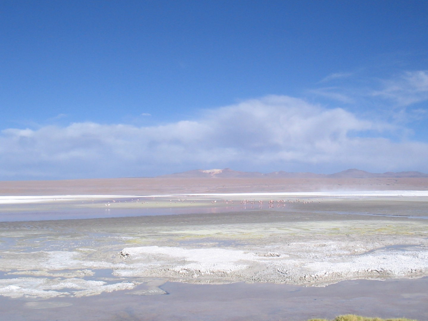 Fremde Welt in der Atacama