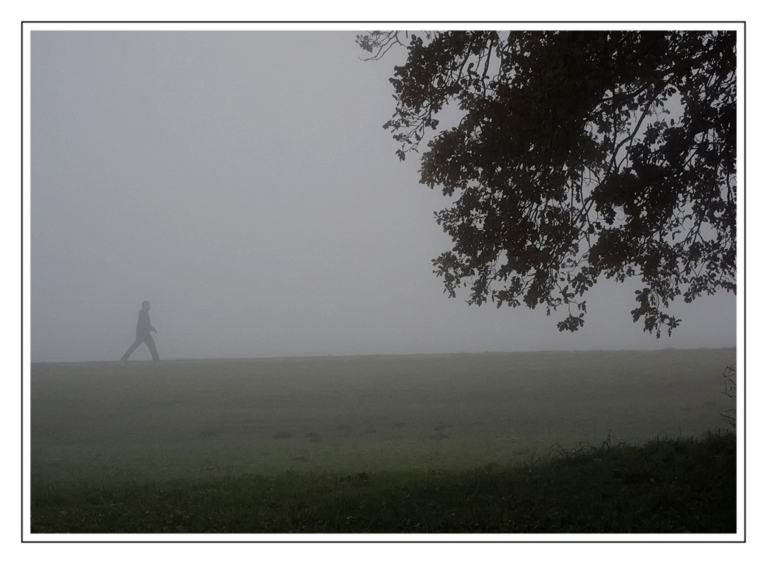 Fremder im Nebel