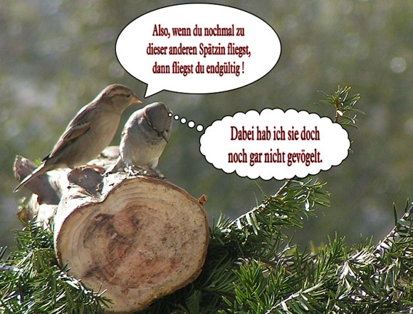 Fremdgänger Fremdgänger