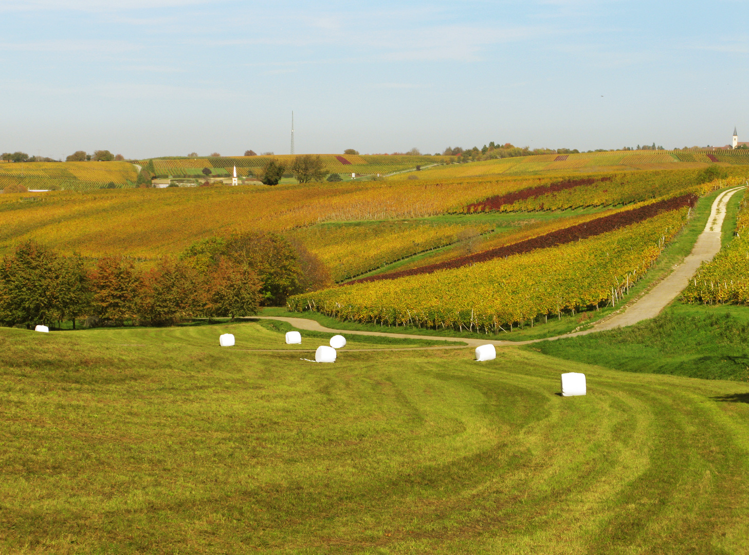 Fremdkörper in der Herbstlandschaft