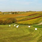 Fremdkörper in der Herbstlandschaft