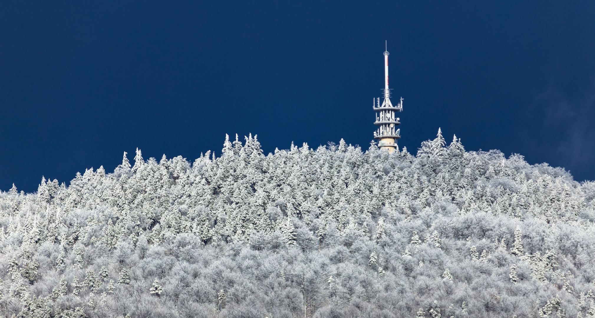 Fremersberg gefroren