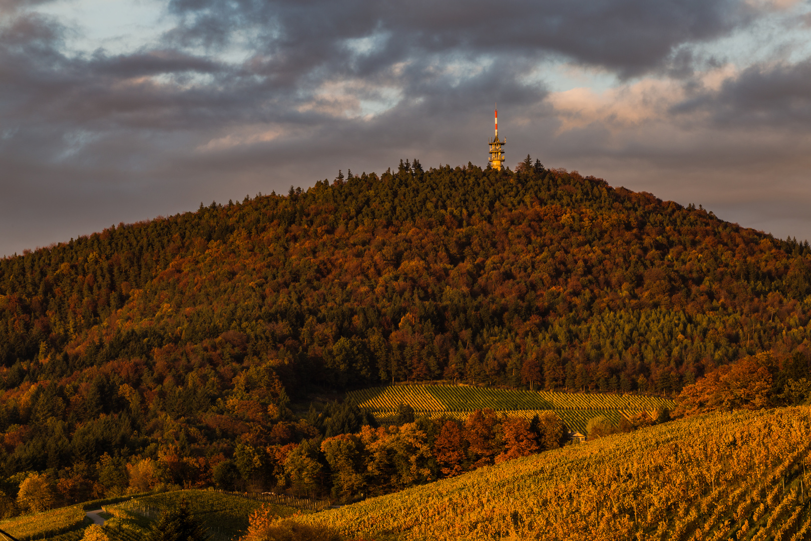 Fremersberg im Herbst