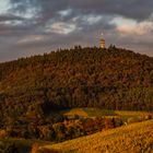 Fremersberg im Herbst