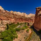 Fremont River Valley, Capitol Reef National Park, Utah, USA