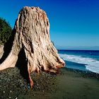 French Beach