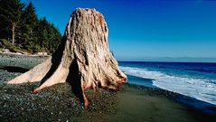 French Beach