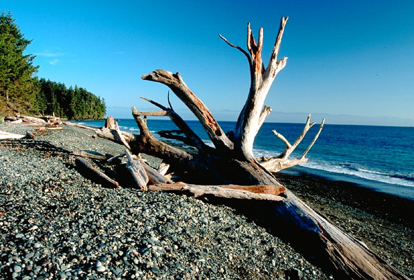 French Beach II