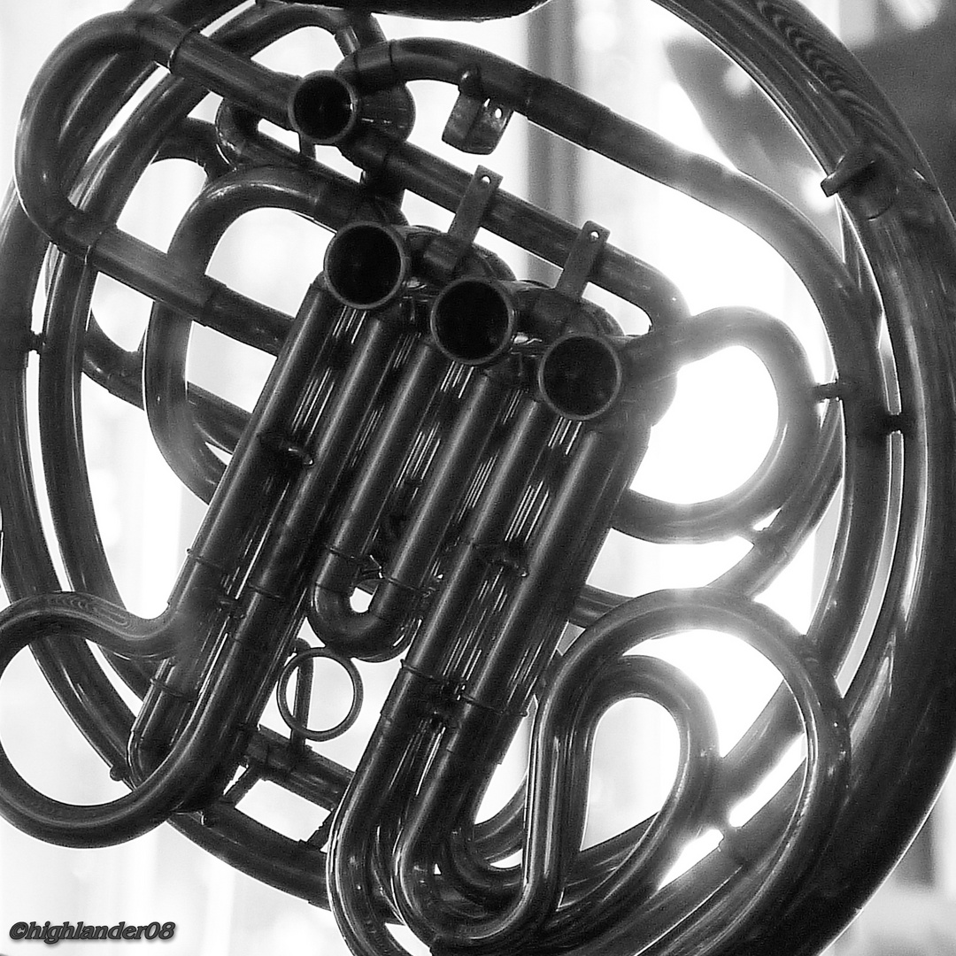 French horn, einmal anders