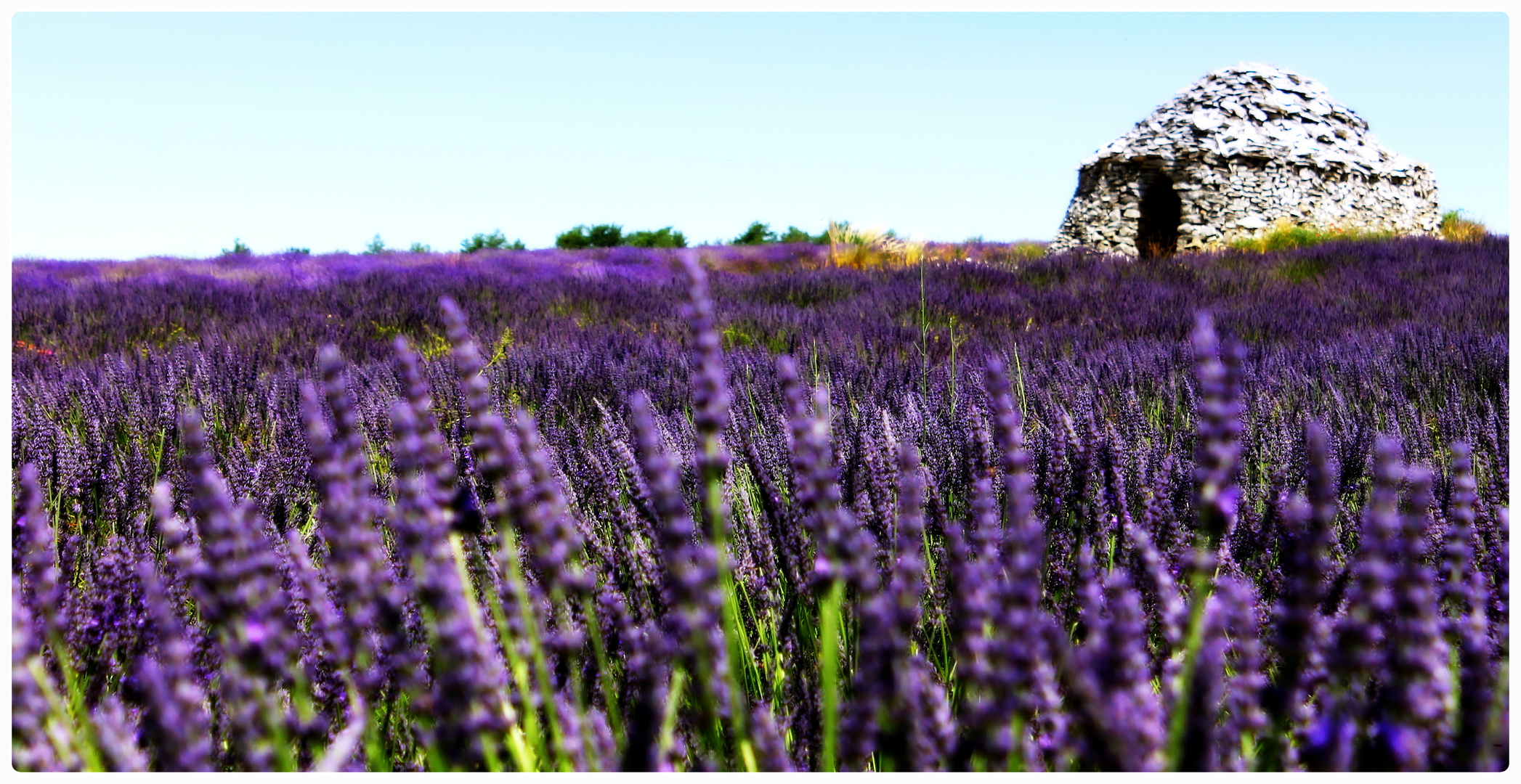 French Summer (2)