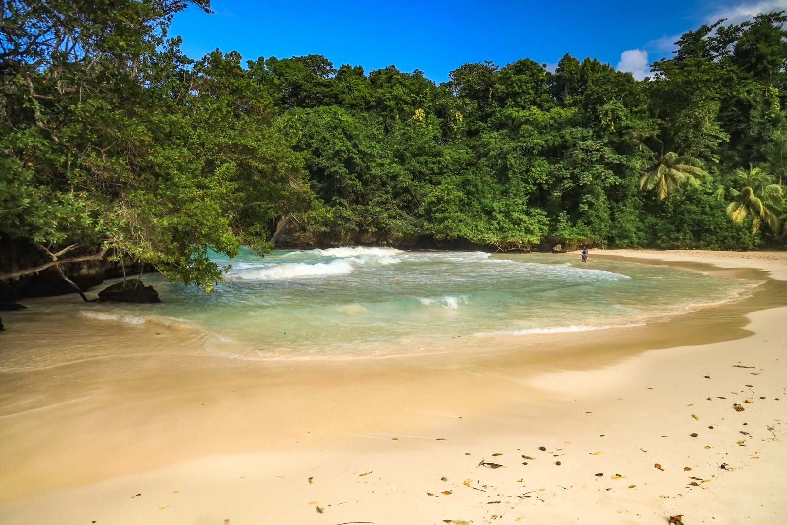 Frenchman Cove 3 Foto & Bild north america, central america