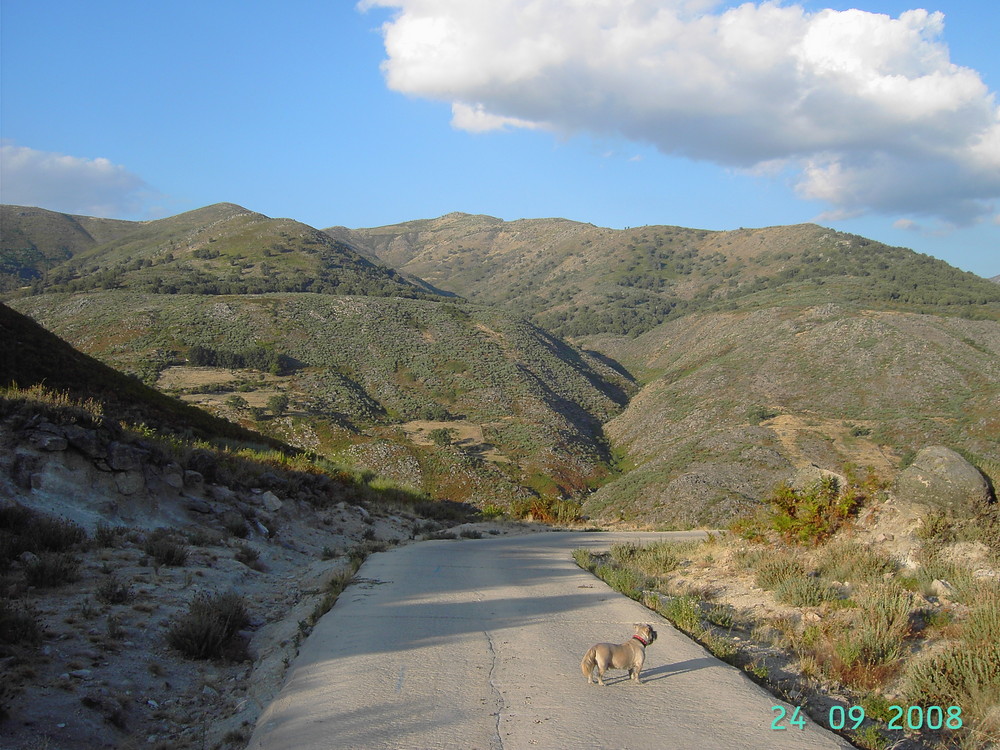 frente a ella