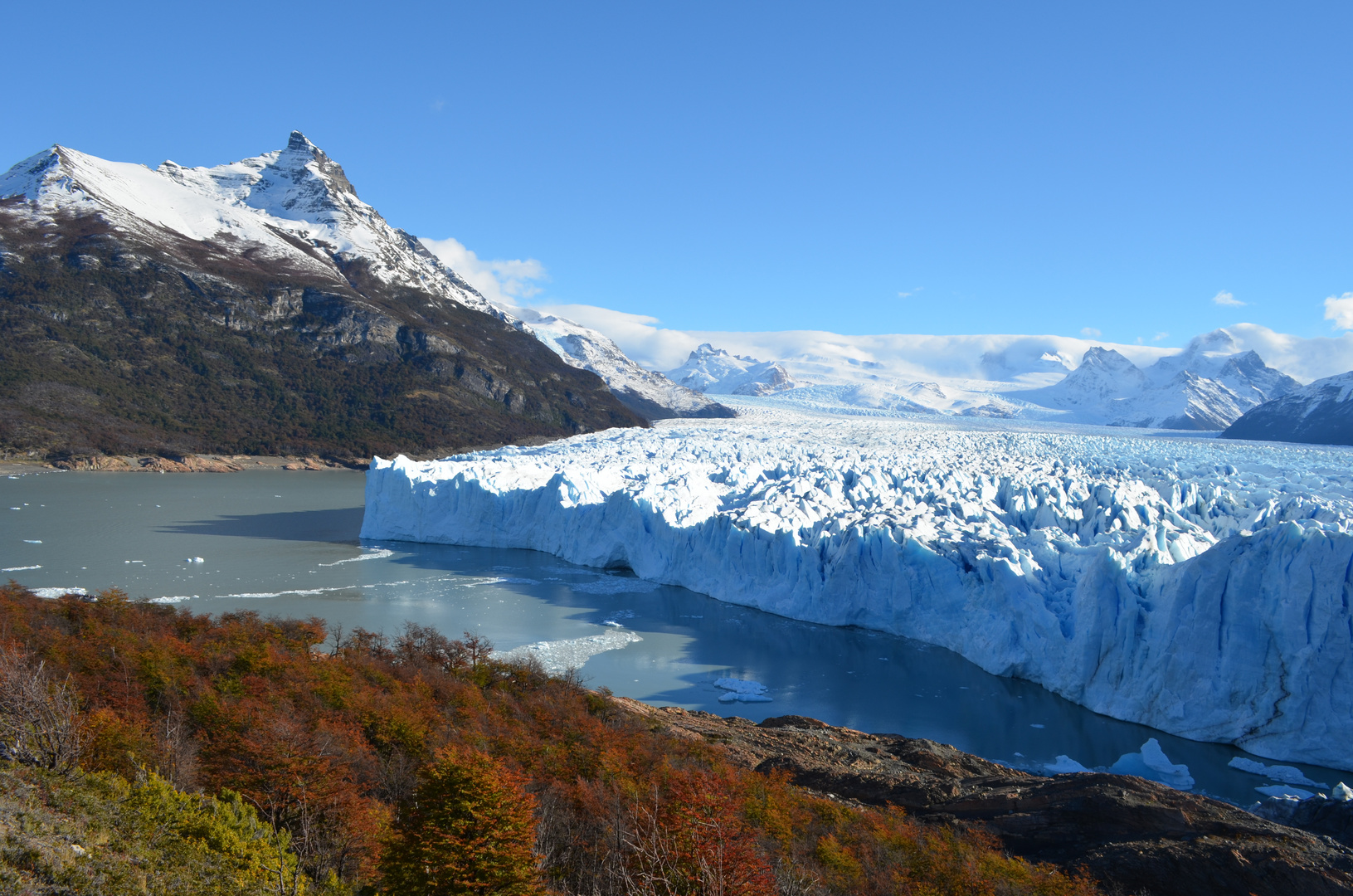 Frente Glaciar Perito Moreno