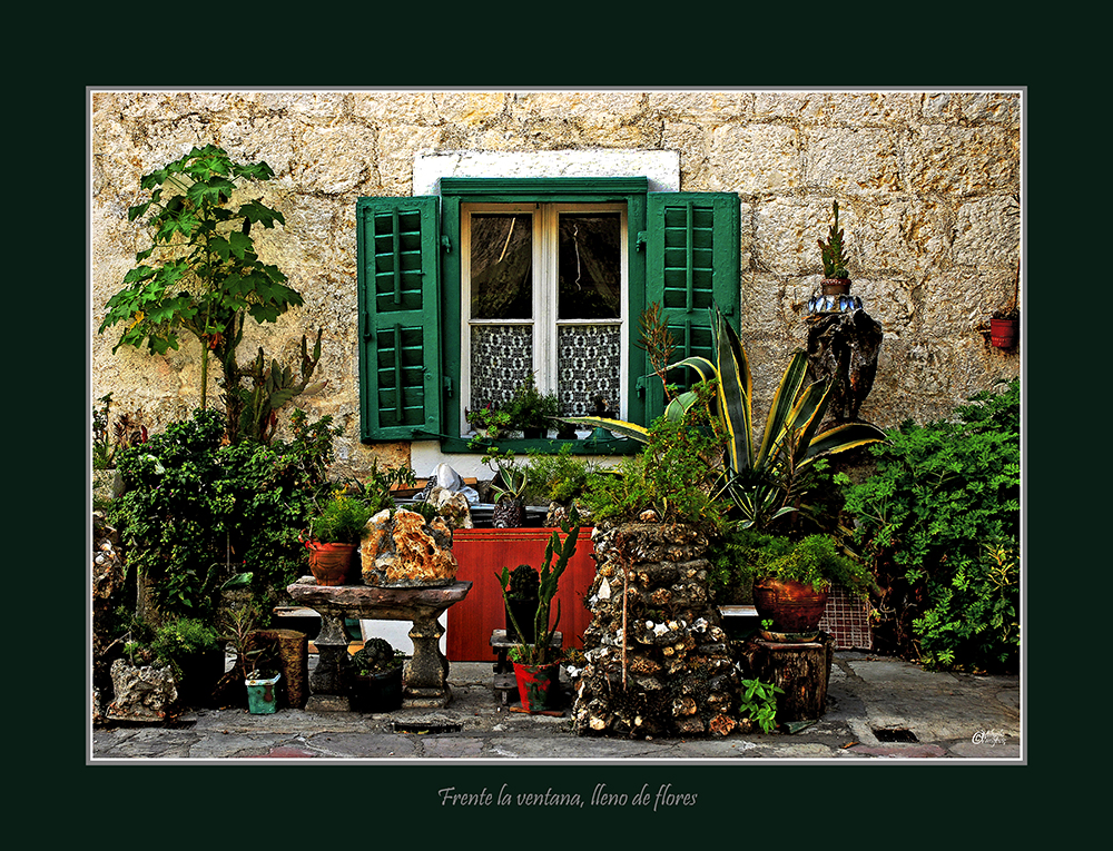 Frente la Ventana lleno de flores