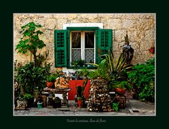 Frente la Ventana lleno de flores