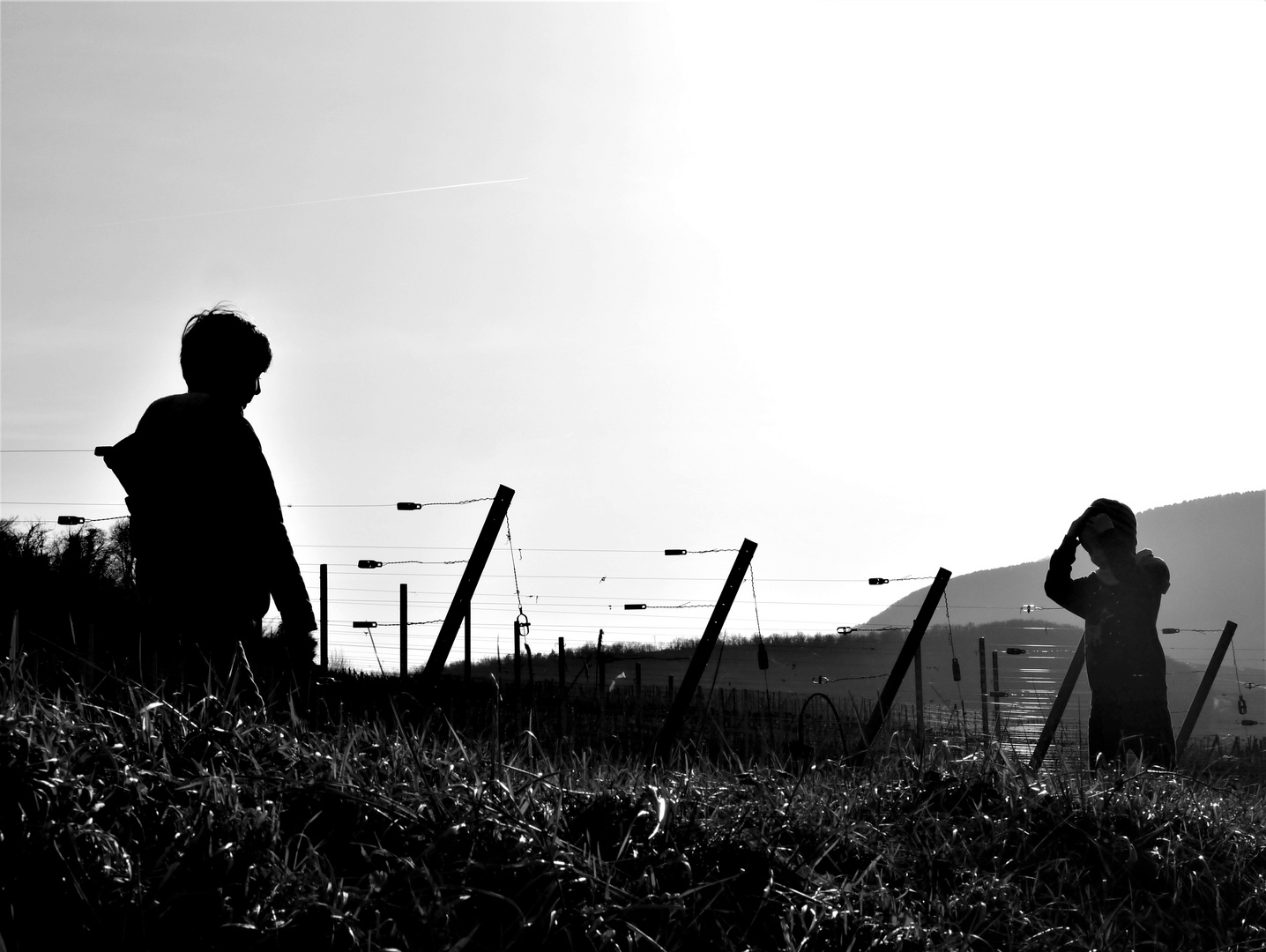 Frères dans les vignes