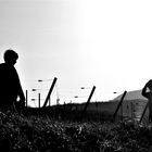 Frères dans les vignes