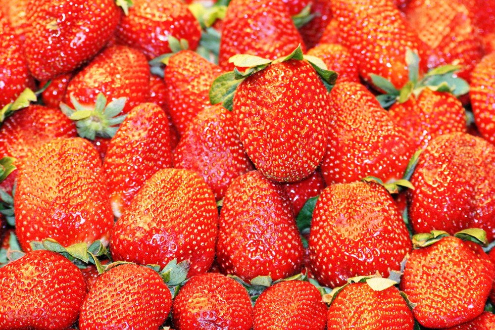 FRESAS