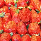 FRESAS