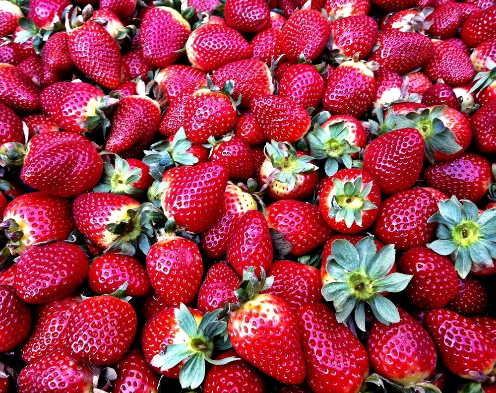 Fresas de Lepe Spain