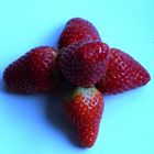 fresas / fraises / Erdbeeren...01