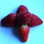 fresas / fraises / Erdbeeren...01