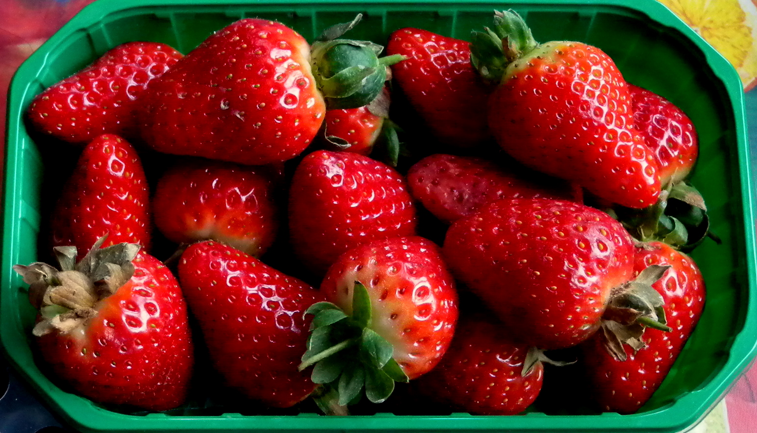 fresas / fraises / Erdbeeren...02