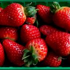 fresas / fraises / Erdbeeren...02