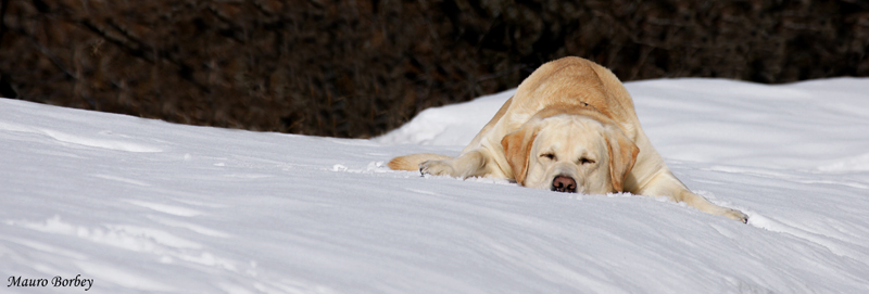 Fresco relax.......