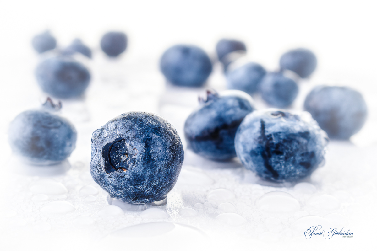 Fresh blueberries on white background with water drops