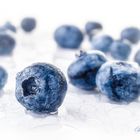 Fresh blueberries on white background with water drops