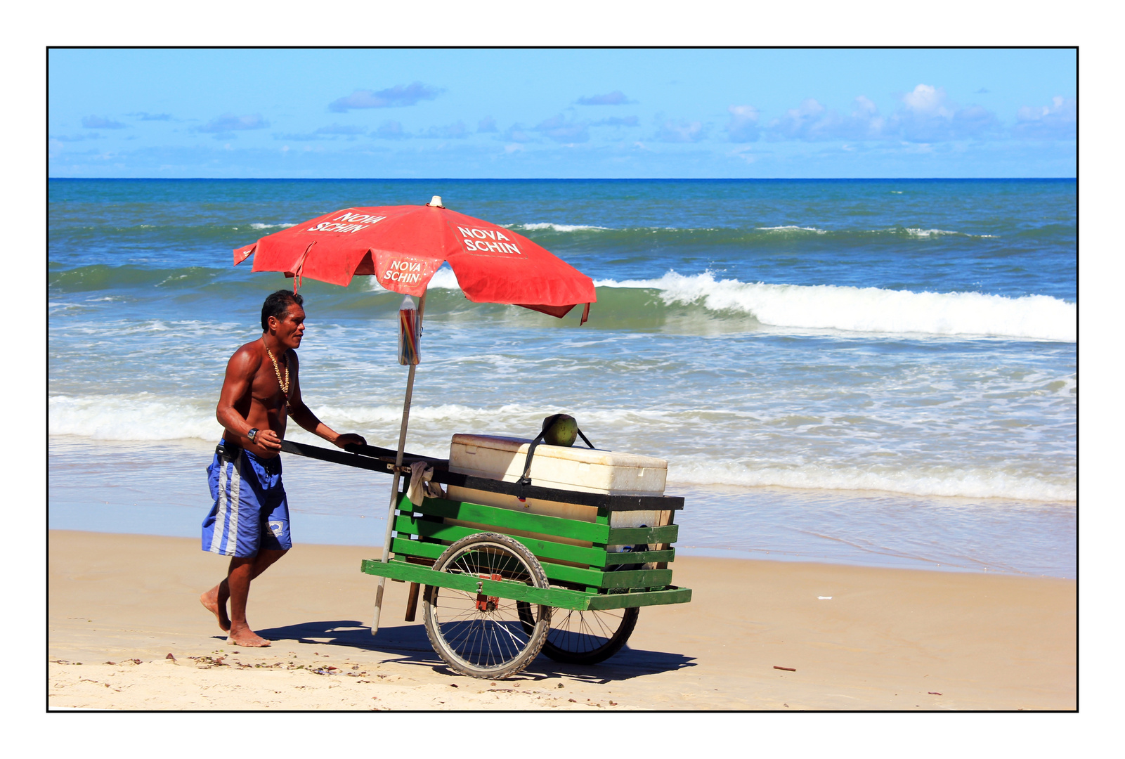 fresh coconut in ilheus