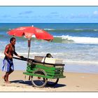 fresh coconut in ilheus