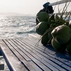 Fresh Coconuts....