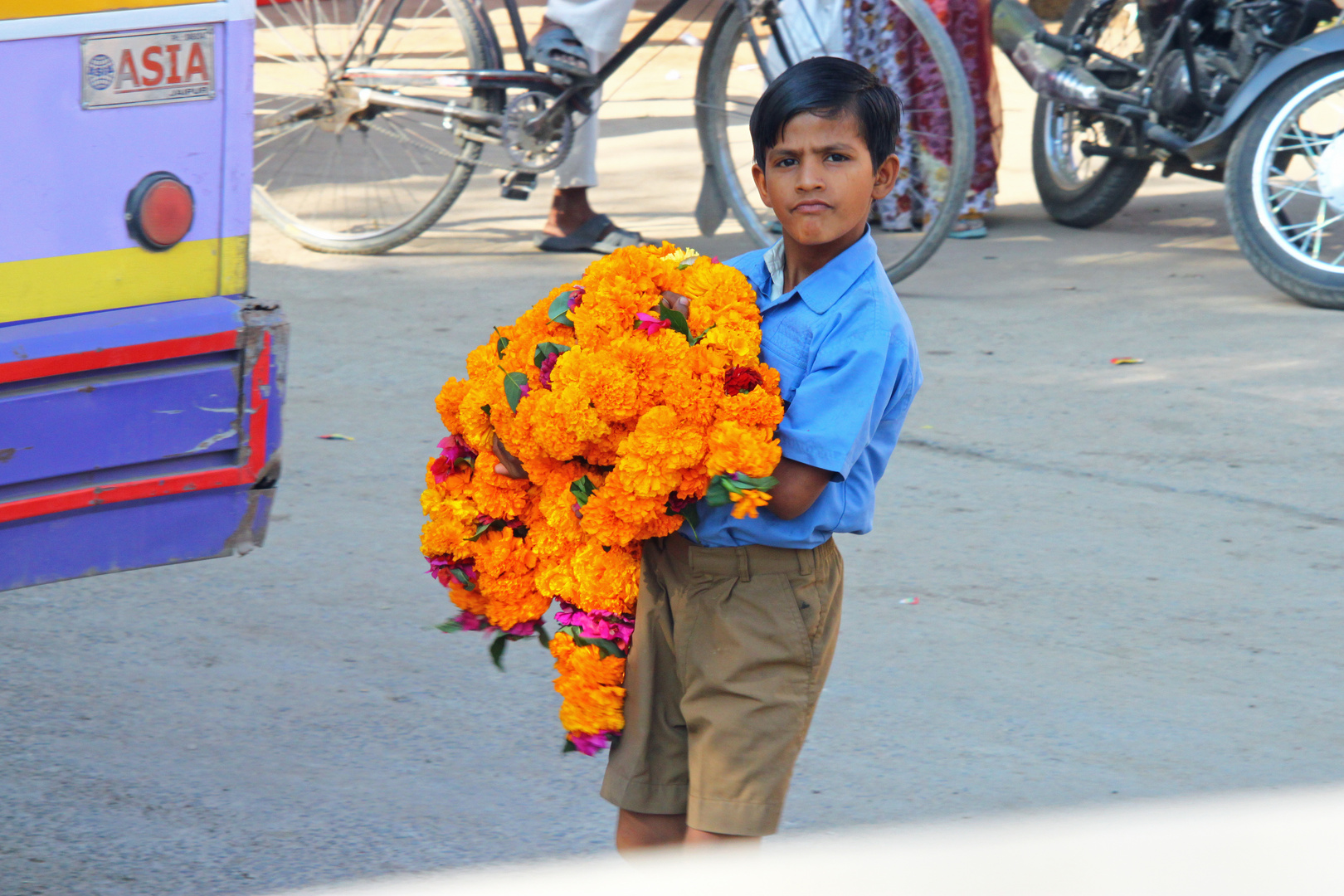 Fresh Flowers