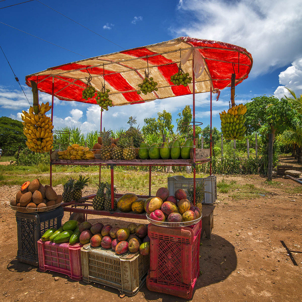 fresh fruits