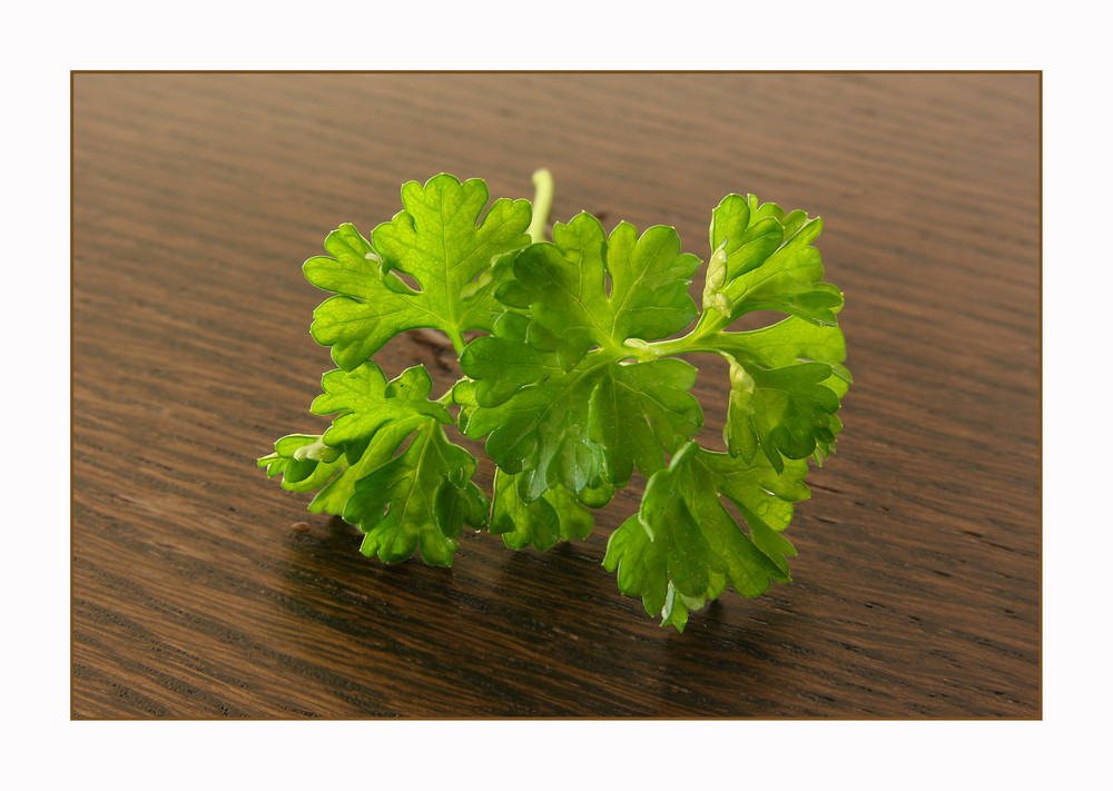 --fresh-green-parsley--