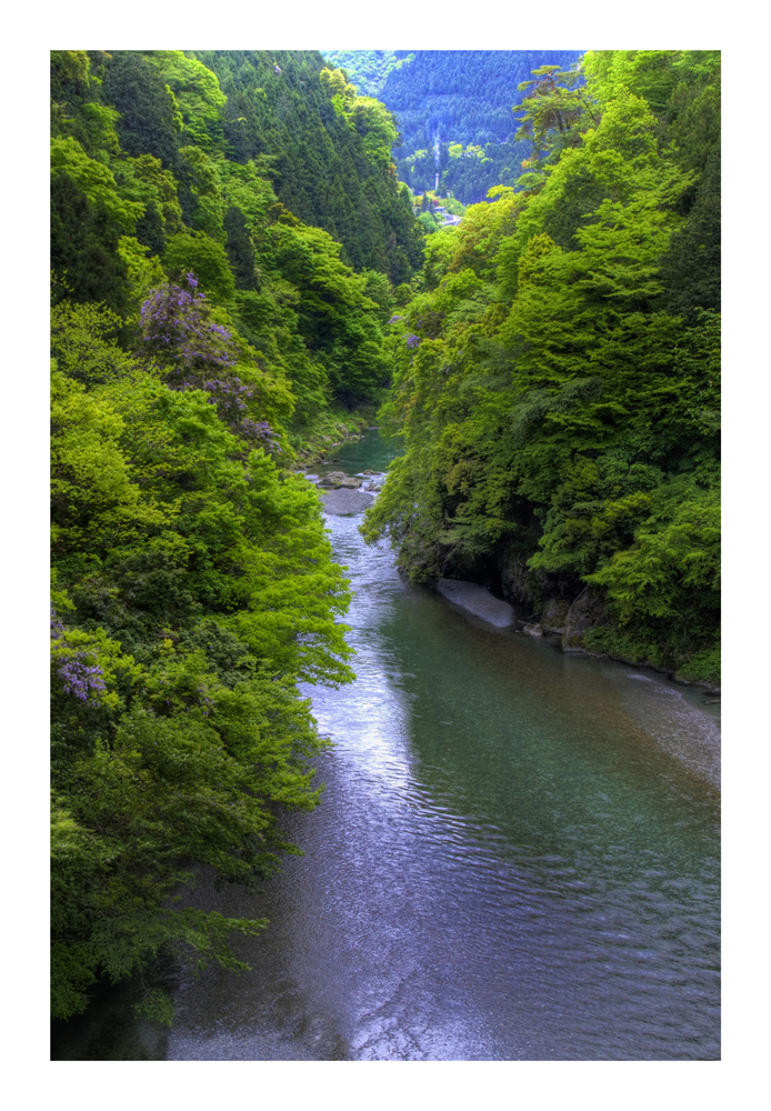 Fresh green valley